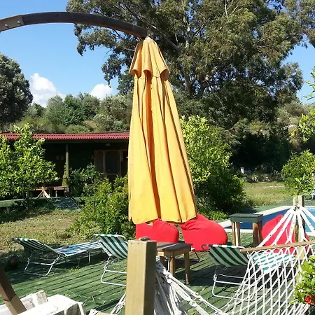 Отель Sun & Yeni Adet Organic 4*