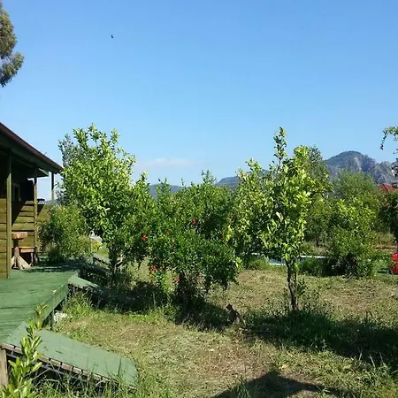 Sun & Yeni Adet Organic Отель Дальян