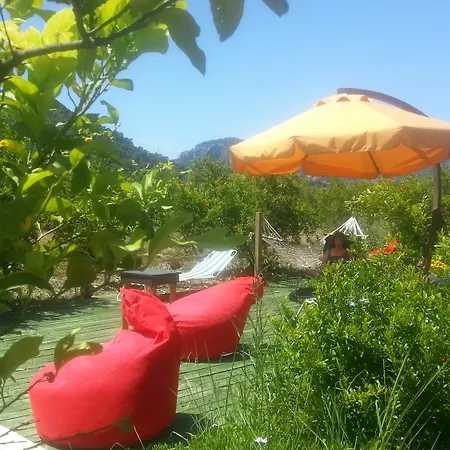 Sun & Yeni Adet Organic 4* Дальян