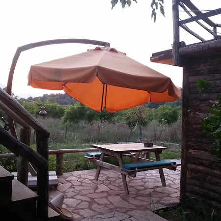Отель Sun & Yeni Adet Organic 4*